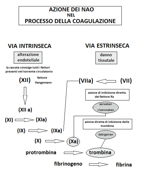 Farmaci NAO ATI14 di Medical Evidence-cascata-coagulazione-trombina